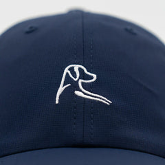 The Poly