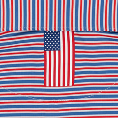 The Steward Stripe