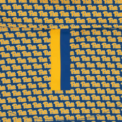 The Pitt Panthers™