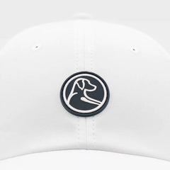 The Circle Dog Activity Hat