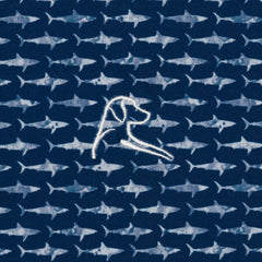 The Shark