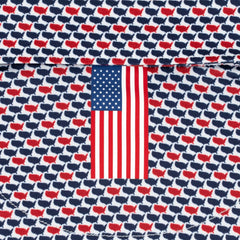 The Youth 1776