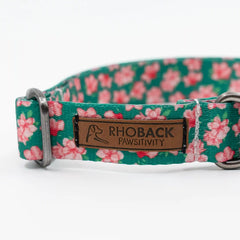 The Azalea Collar