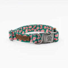The Azalea Collar