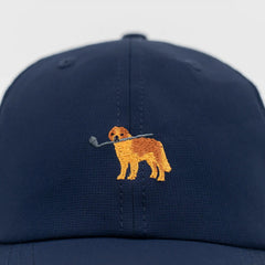 The Golf Dog Poly