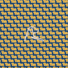 The Pitt Panthers™