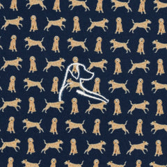 The Goldendoodle