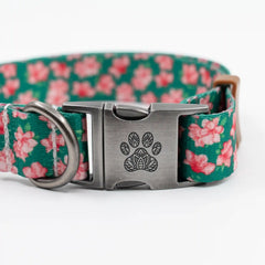 The Azalea Collar