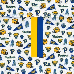 The Pitt Gameday