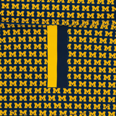 The Lil' Michigan Wolverines™