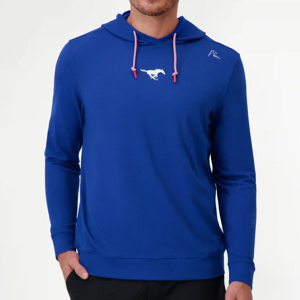 Hesi Collegiate Hoodie - SMU