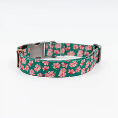 The Azalea Collar