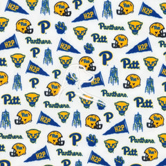 The Pitt Gameday