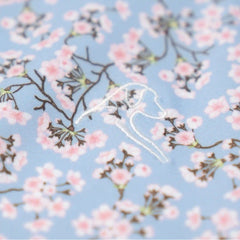 The Cherry Blossom