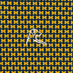 The Lil' Michigan Wolverines™