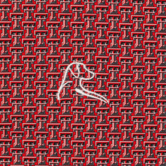 The Texas Tech Red Raiders™